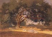 unknow artist Oak Canopy oil painting